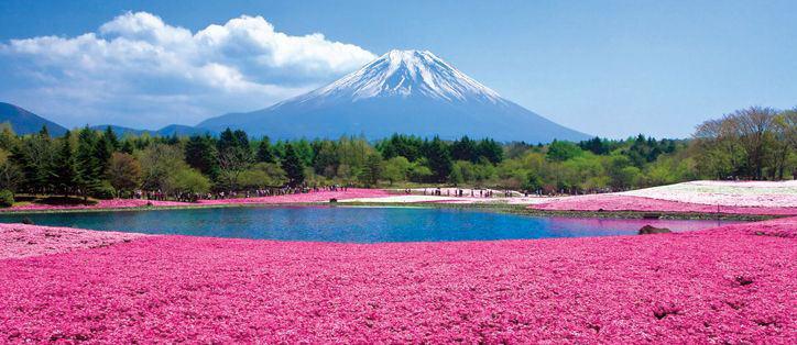 L’Higashimoto Park: la natura in Rosa